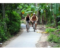 Mekong Delta Tours 2 Days 1 Night (Cai Be - Vinh Long - Can Tho)